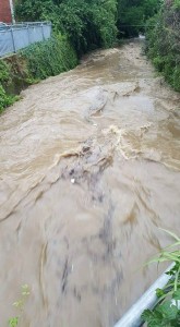 fiume Seveso