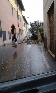 muro