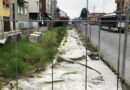 Metrotranvia: “La Regione mette altri 25 milioni e città Metropolitana ?” chiede Corbetta (Lega)